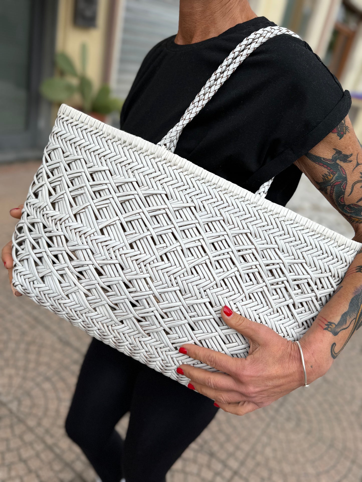Edera maxi