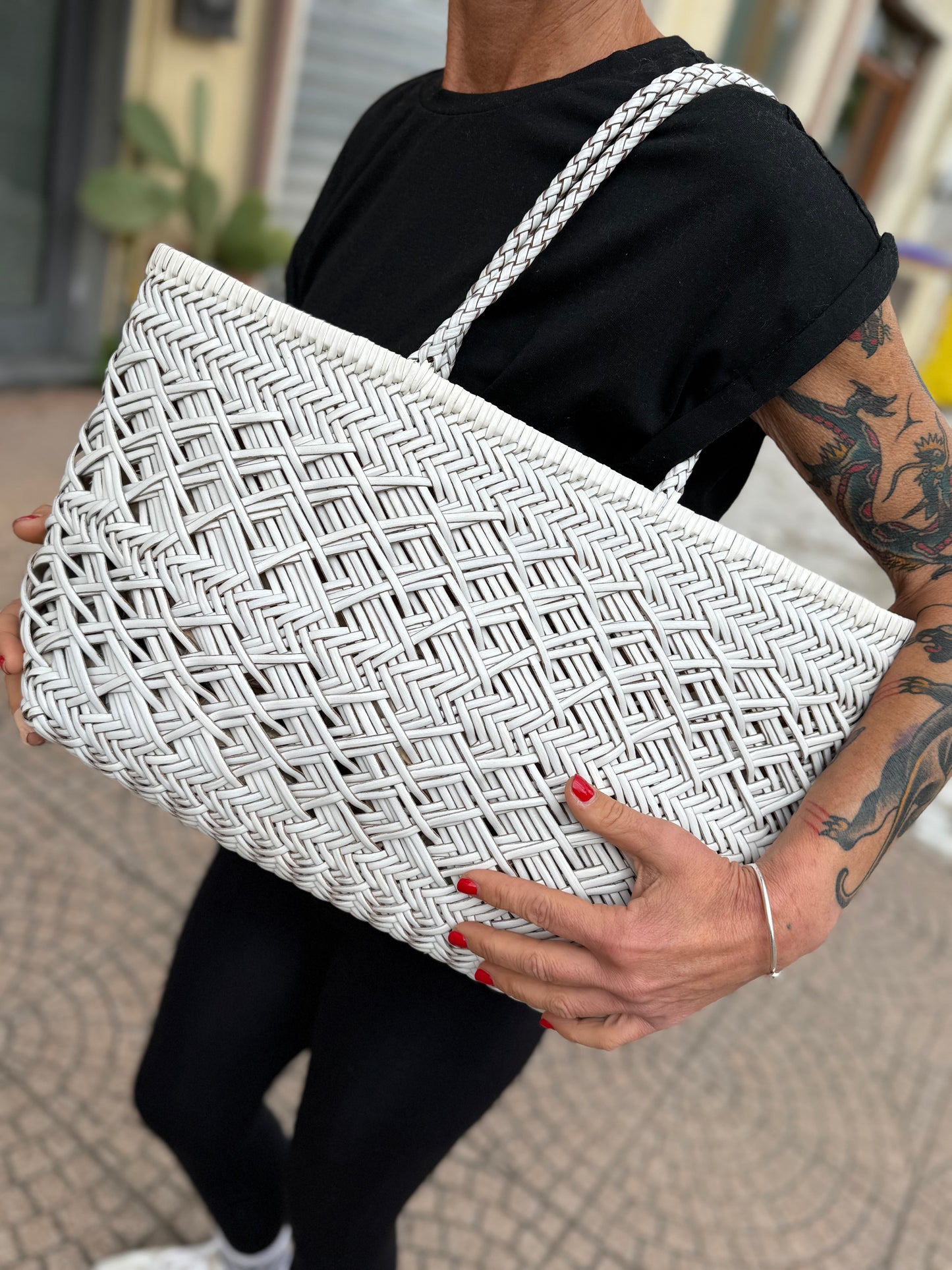 Edera maxi