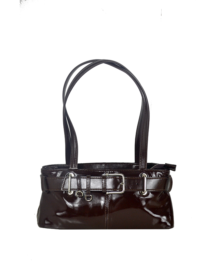 Glossy bag